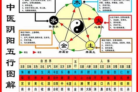 如何找自己五行|如何查自己五行什么命 快速查自己的五行属性